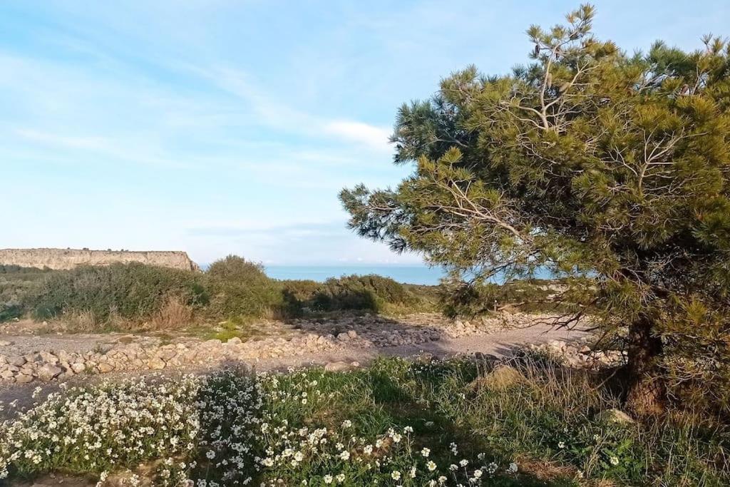 Vue * Narbonne-Plage